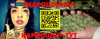 хмурый Донской