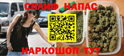 индика Дубна