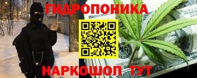 индика Дубна