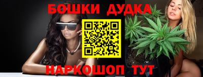 индика Дубна