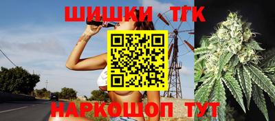 индика Дубна
